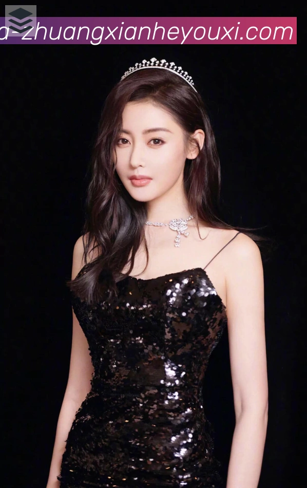 奖项证书